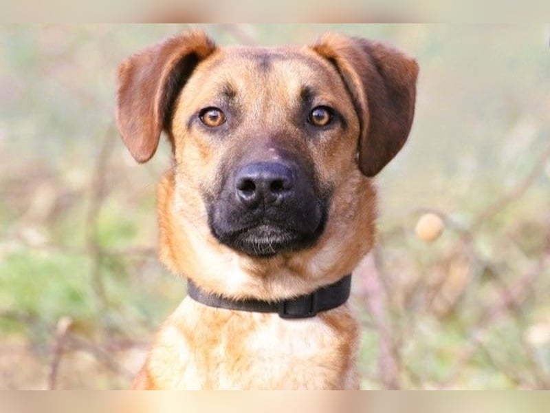 Maddox sucht Menschen, die ihm die Welt zeigen