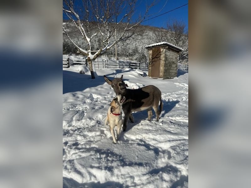 Juli: Mit Sonne im Herzen