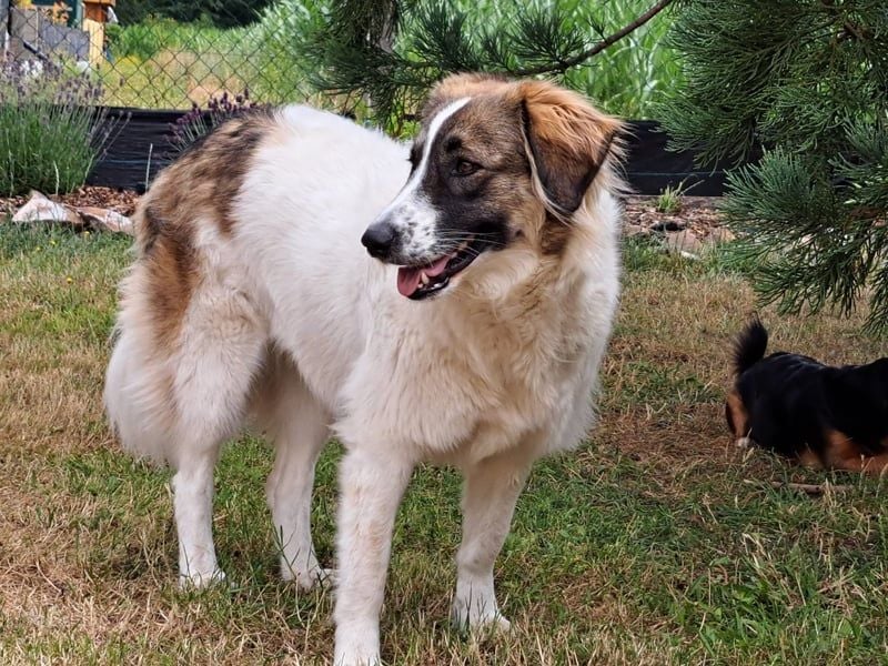 Ozora möchte überzeugen (84104 Rudelzhausen)