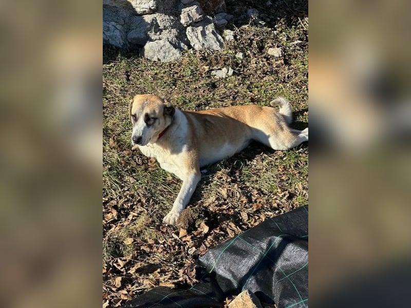 Juli: Mit Sonne im Herzen