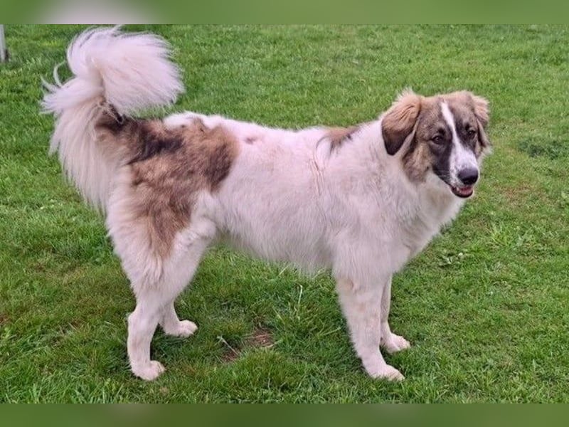 Ozora möchte überzeugen (84104 Rudelzhausen)