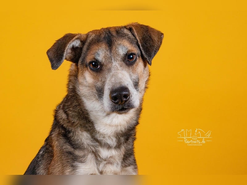 Rudi sehnt sich nach seiner eigenen Familie (84152 Mengkofen)