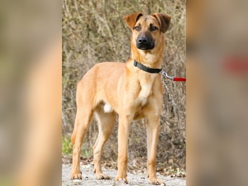 Maddox sucht Menschen, die ihm die Welt zeigen