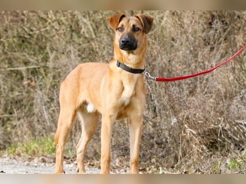 Maddox sucht Menschen, die ihm die Welt zeigen