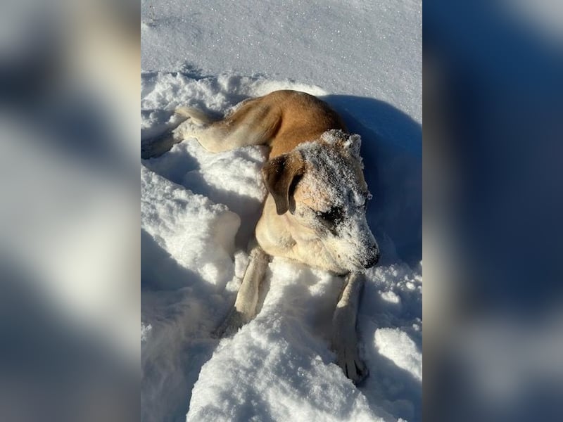 Juli: Mit Sonne im Herzen