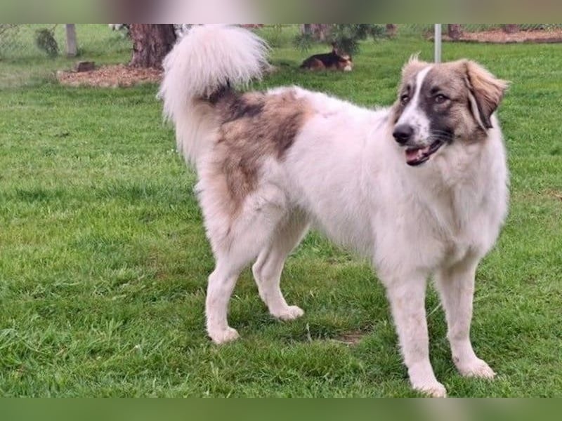 Ozora möchte überzeugen (84104 Rudelzhausen)