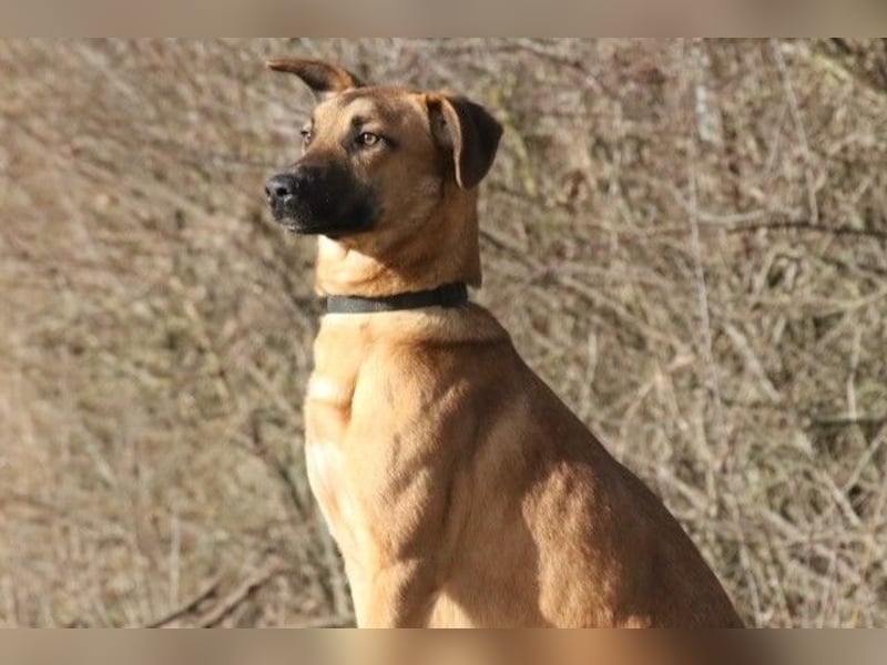 Maddox sucht Menschen, die ihm die Welt zeigen