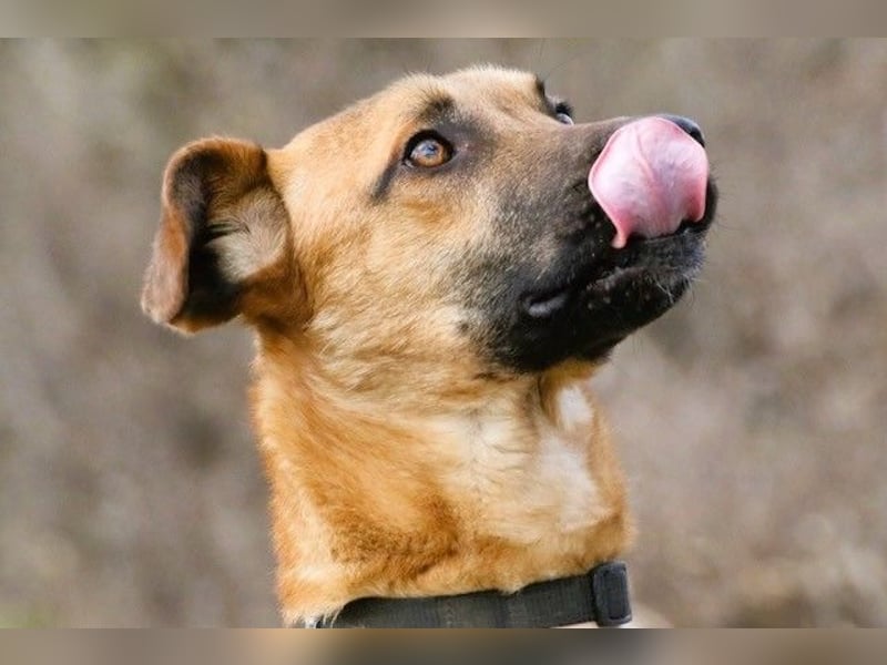 Maddox sucht Menschen, die ihm die Welt zeigen