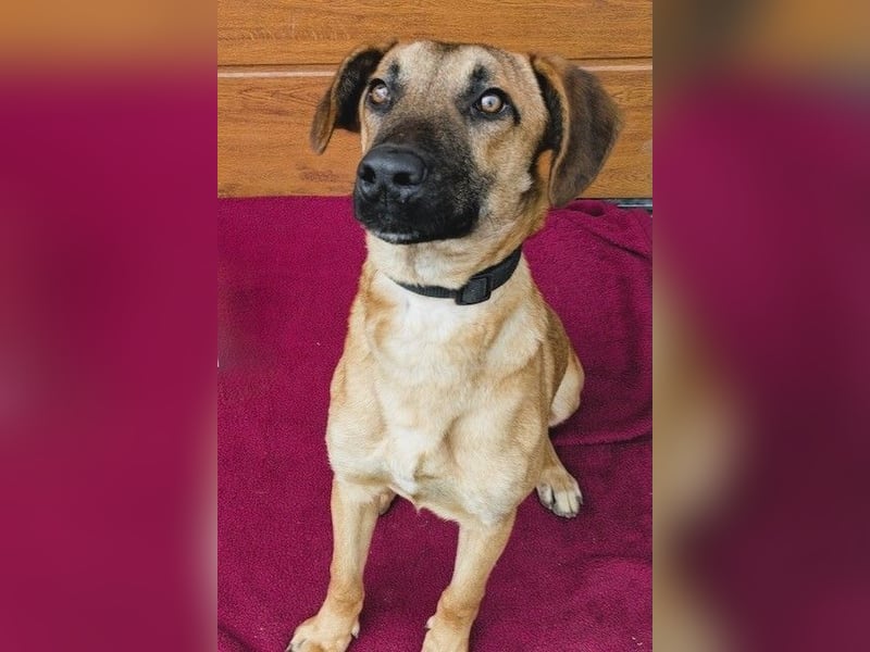 Maddox sucht Menschen, die ihm die Welt zeigen