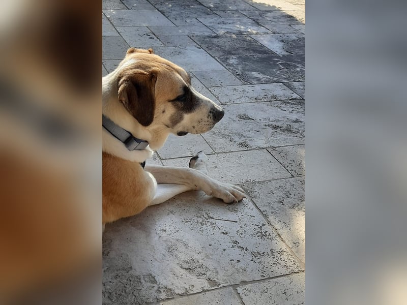 Juli: Mit Sonne im Herzen