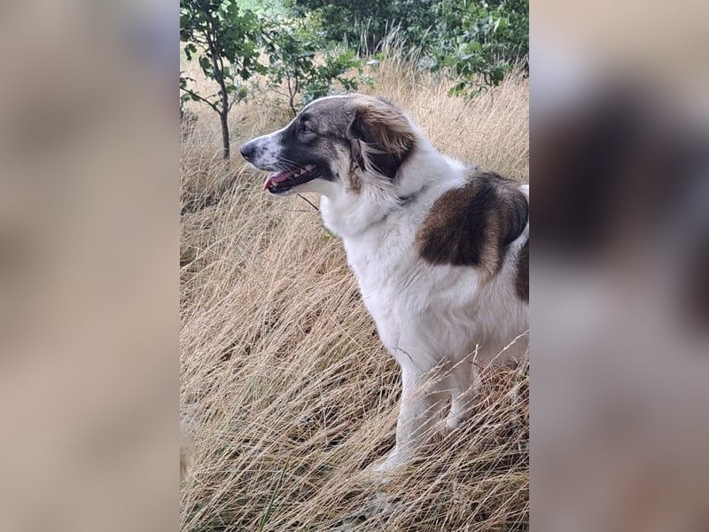 Ozora möchte überzeugen (84104 Rudelzhausen)