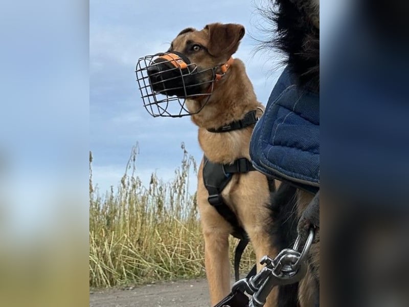 Maddox sucht Menschen, die ihm die Welt zeigen