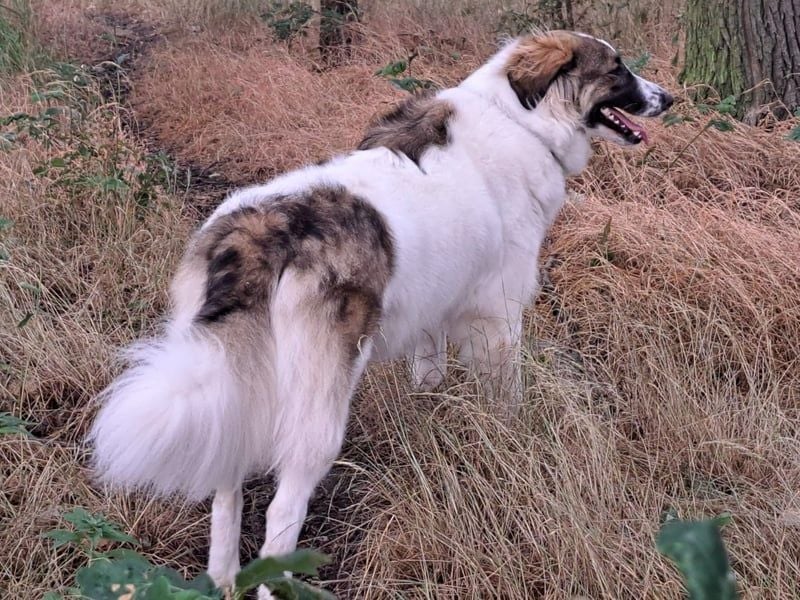 Ozora möchte überzeugen (84104 Rudelzhausen)