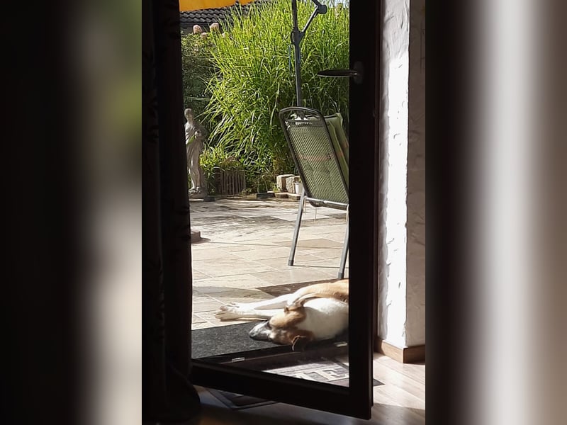 Juli: Mit Sonne im Herzen