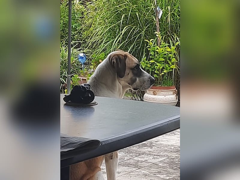 Juli: Mit Sonne im Herzen