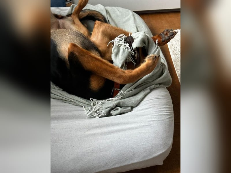 Calita ist menschenbezogen und lernbereit