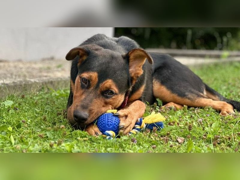 Calita ist menschenbezogen und lernbereit