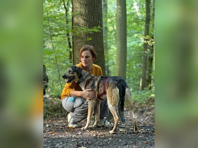 Gaia – kein Hund für große Abenteuer, sondern für kleine gemeinsame Schritte