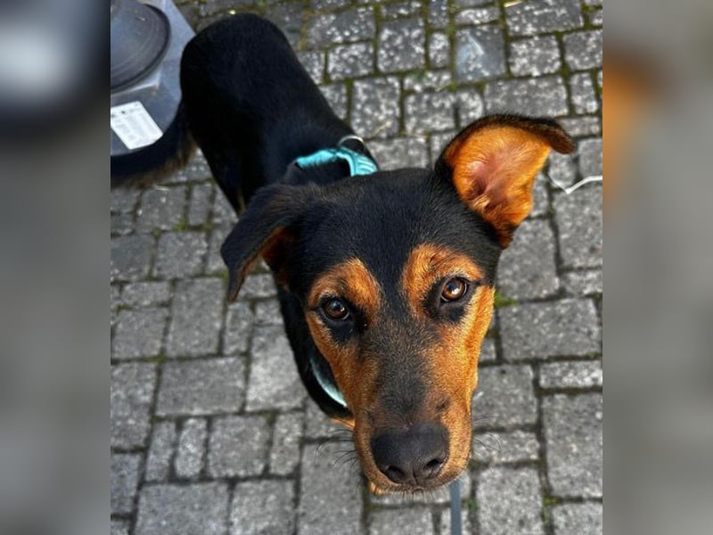 Calita ist menschenbezogen und lernbereit