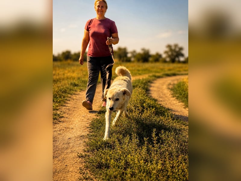 Sanfte Jana sucht liebevolles Zuhause