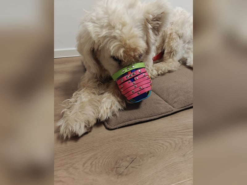 RUDOLFINE - XL-Kuschelbär mit Charakter