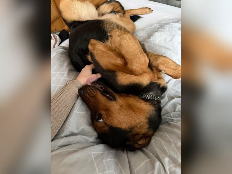 Calita ist menschenbezogen und lernbereit