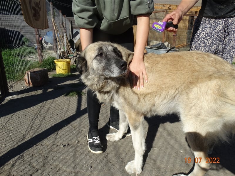 Kajsa - hat sich schon mal hübsch gemacht