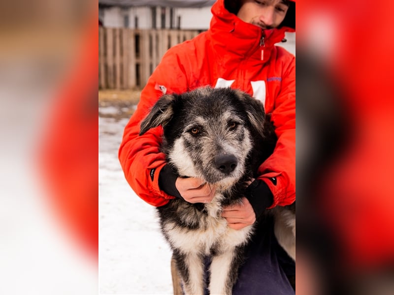 Holly sucht ein Zuhause