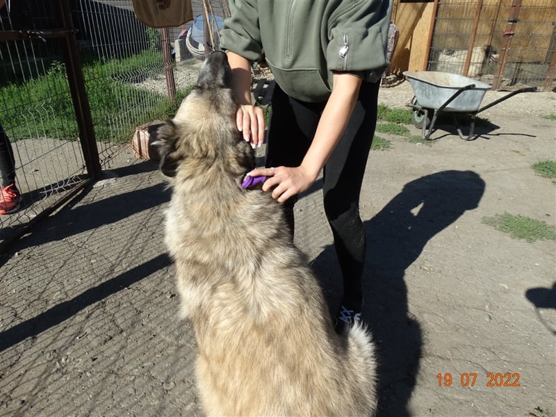 Kajsa - hat sich schon mal hübsch gemacht