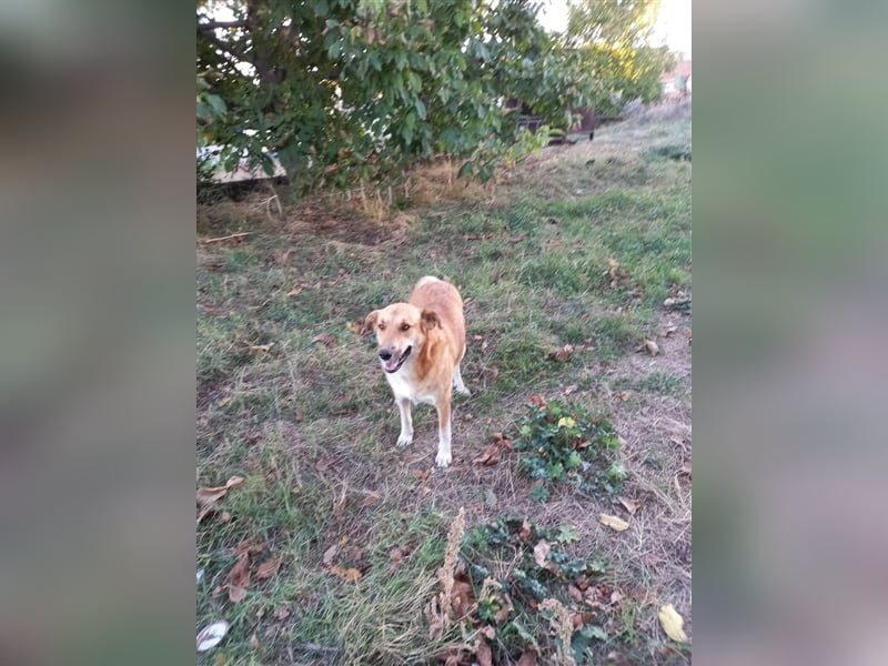 Beba - lieb und freundlich