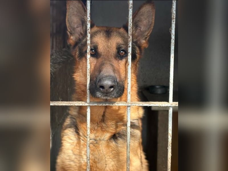 Max, schlau und schön zugleich