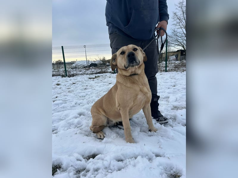 Gerda, geboren 07.07.2021, 67cm suchtn ihre Menschen