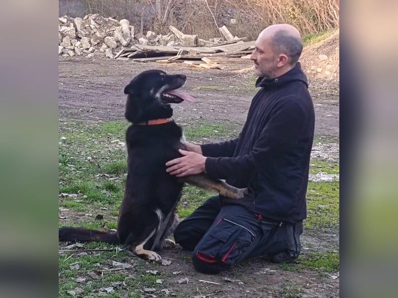 Kimi, geb. 01.01.2025, 64 cm, wünscht sich ein aktives Zuhause