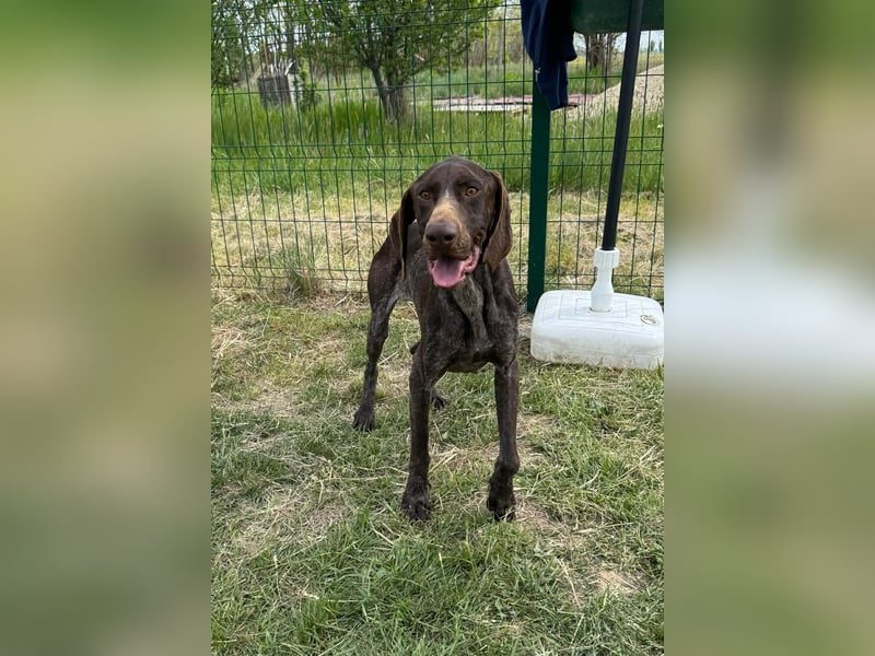 Mendi, geb. 06.2022 sucht ihre liebevollen Menschen