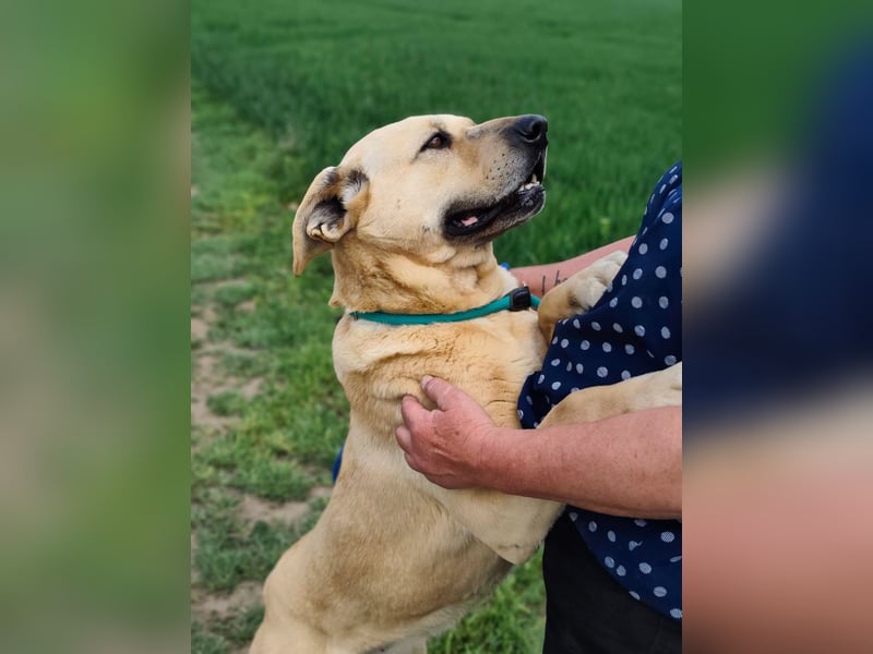 Gerda, geb. 07.2021, 67cm liebt das Wasser