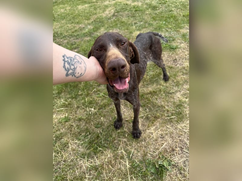 Mendi, geb. 06.2022 sucht ihre liebevollen Menschen