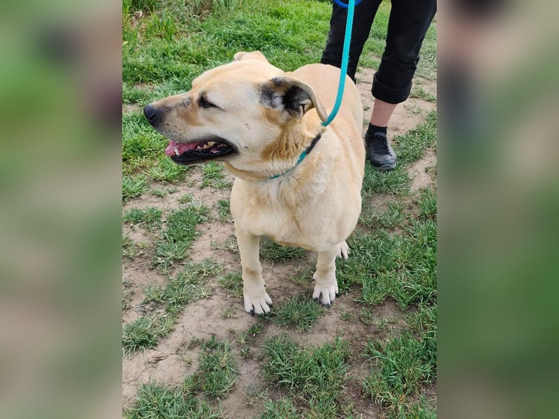 Gerda, geb. 07.2021, 67cm liebt das Wasser