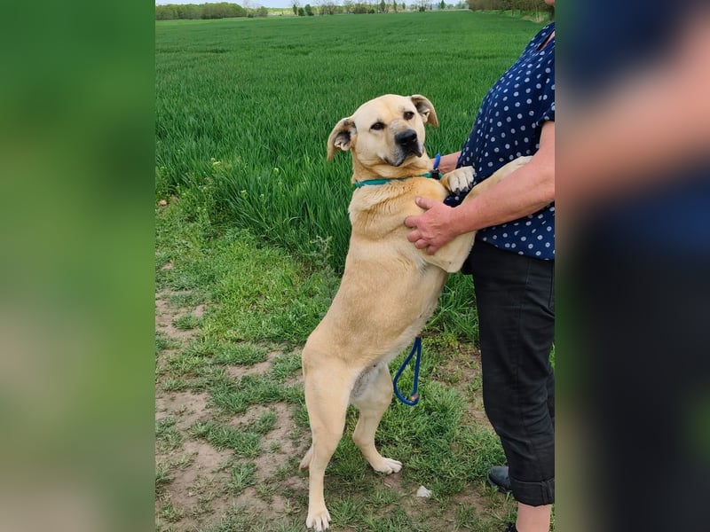 Gerda, geb. 07.2021, 67cm liebt das Wasser