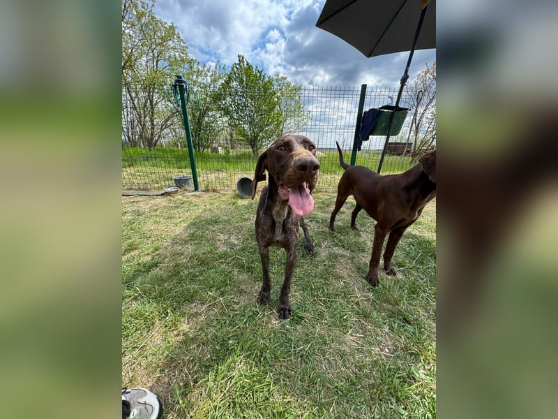 Mendi, geb. 06.2022 sucht ihre liebevollen Menschen