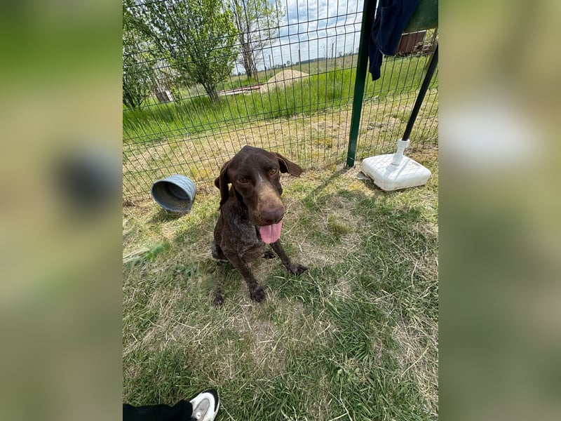 Mendi, geb. 06.2022 sucht ihre liebevollen Menschen