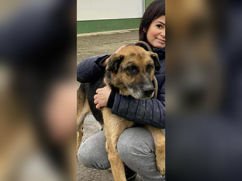 Helena, geboren 12.04.2016, 63cm sucht ihren Ruheplatz