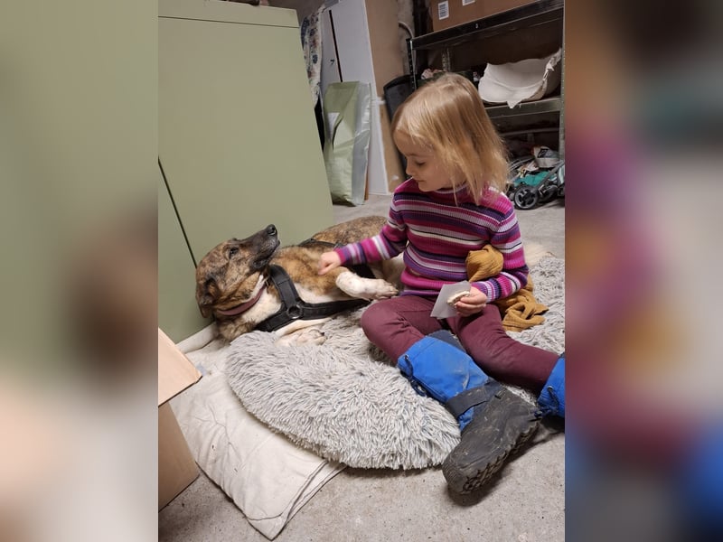 Wunderschöne Emma sucht ein Zuhause