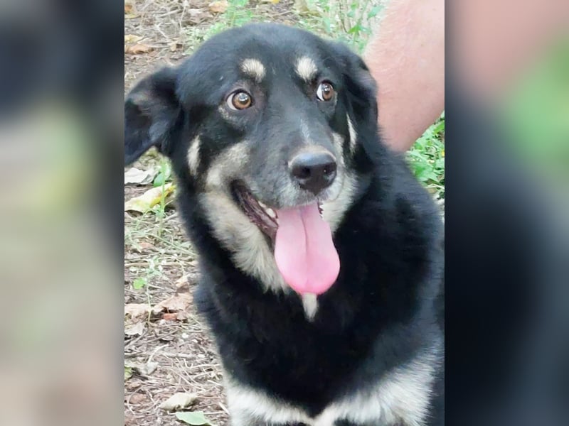 Rosie hat ein großes Herz ❤️