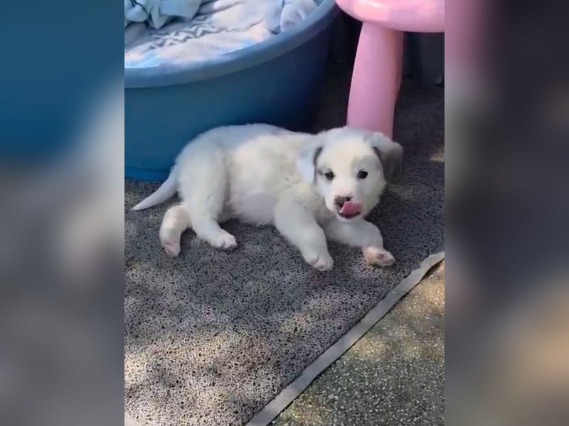 Kosmas möchte die Welt entdecken