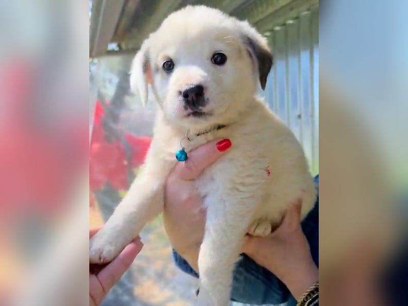 Kosmas möchte die Welt entdecken