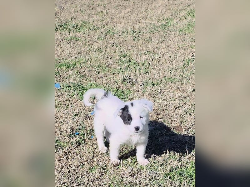 Nira möchte die Welt entdecken