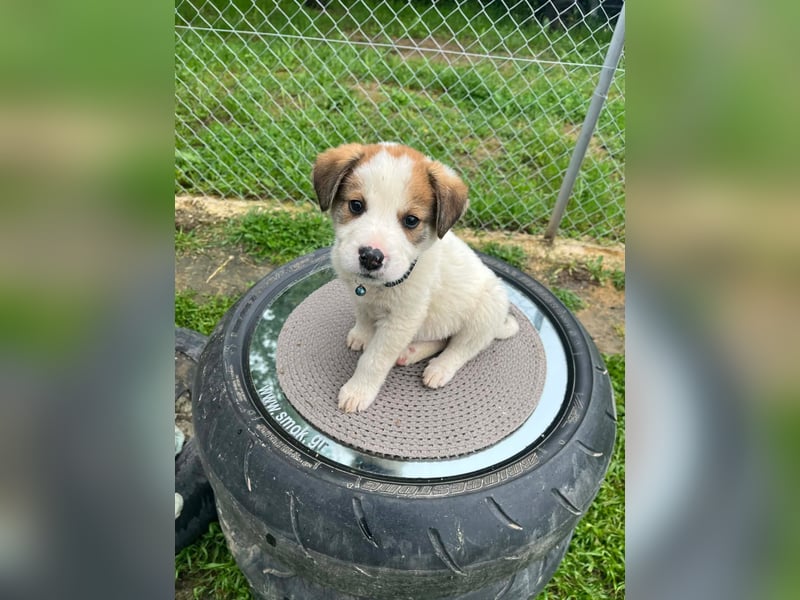 Thanos möchte bei seinen Menschen ankommen