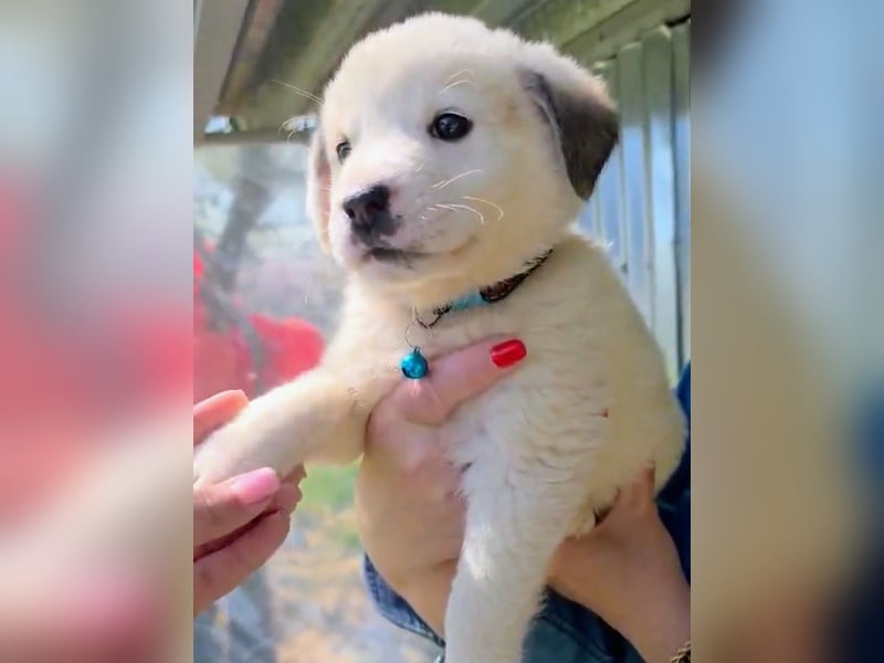 Kosmas möchte die Welt entdecken