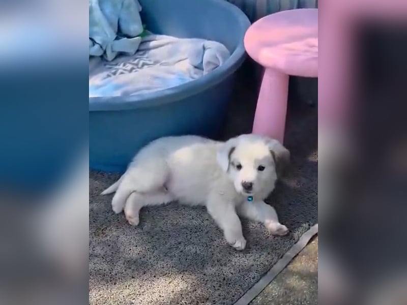 Kosmas möchte die Welt entdecken