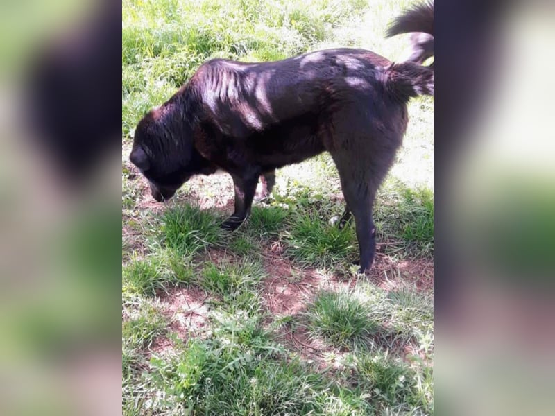 Sara niemand hat sie bisher gesehen